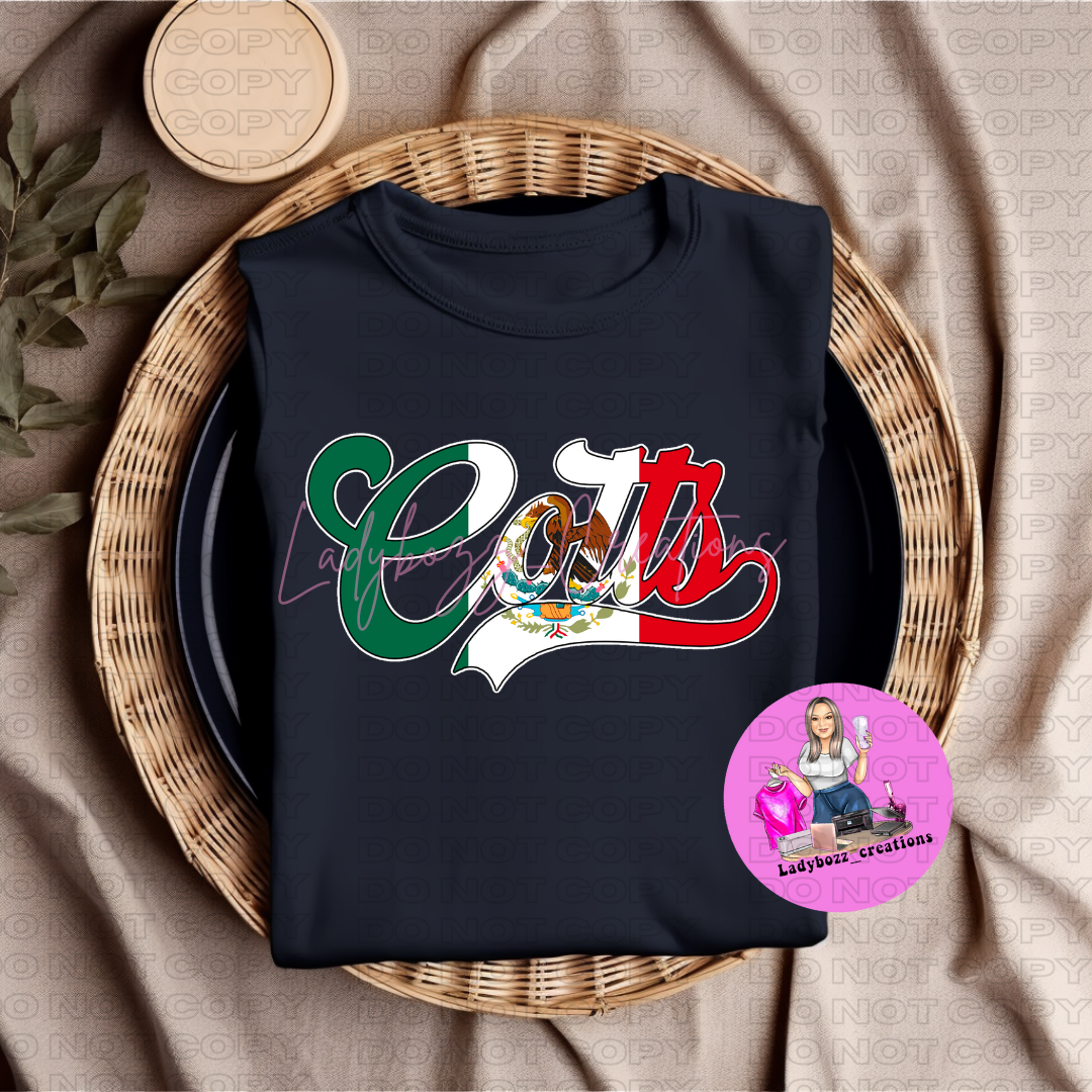 Football Teams with Mexican Flag Colors/Sports