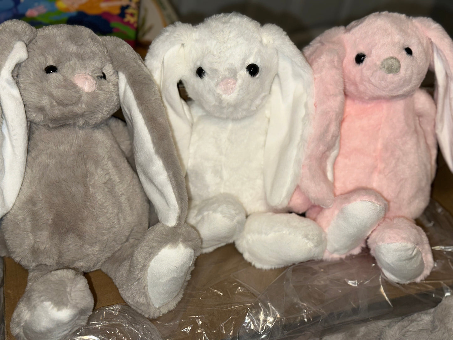Blank Bunny