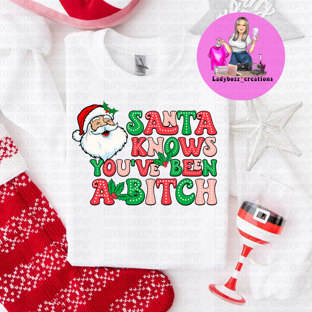 Santa Know You’ve been a Bitch