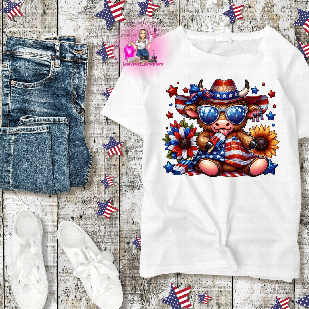 4th of July DTF Print - MANY OPTIONS