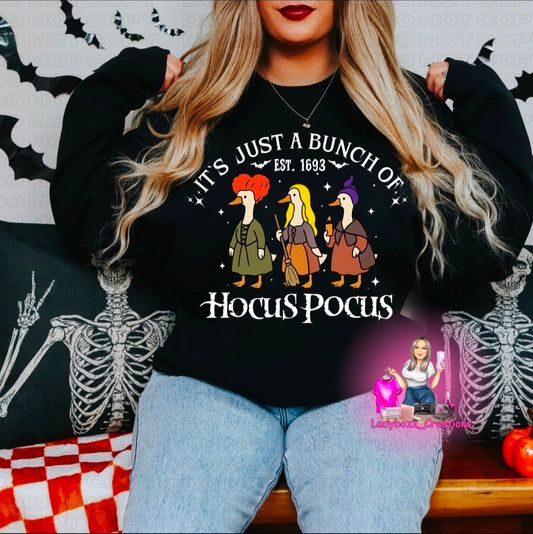 Hocus Pocus Geese/Halloween/Sweatshirt